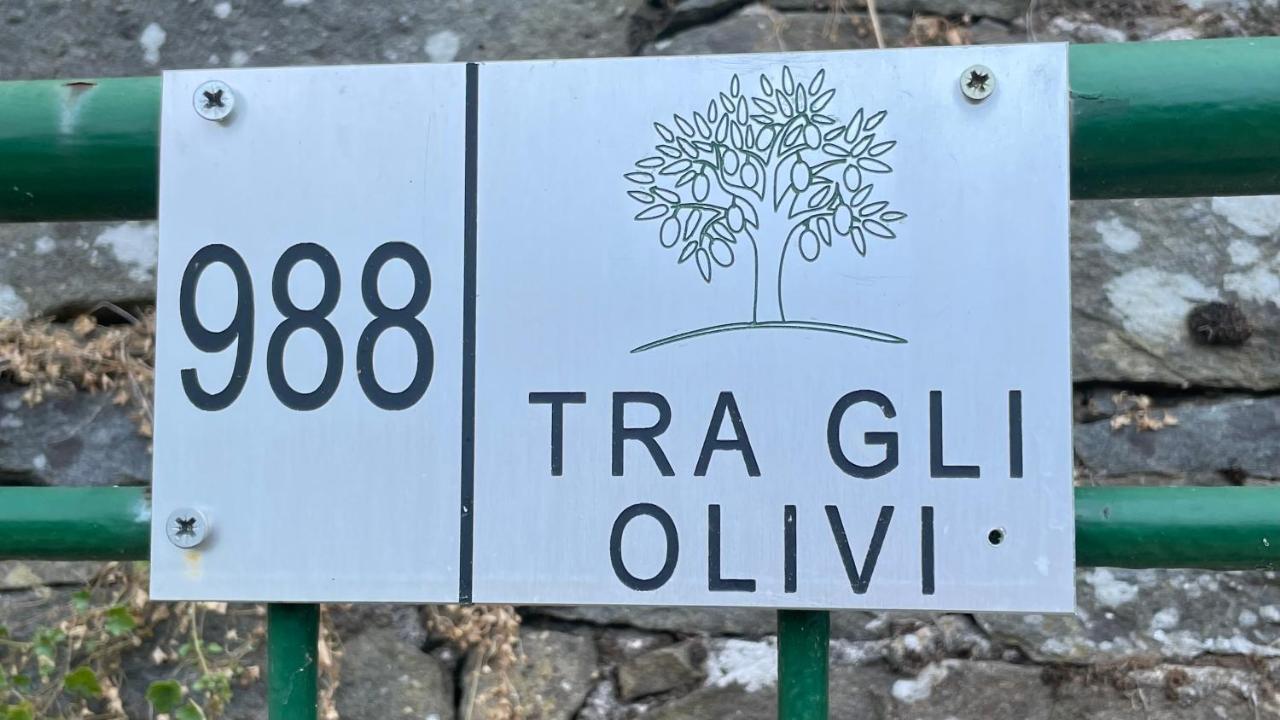 Tra Gli Olivi Apartment Lucca Luaran gambar