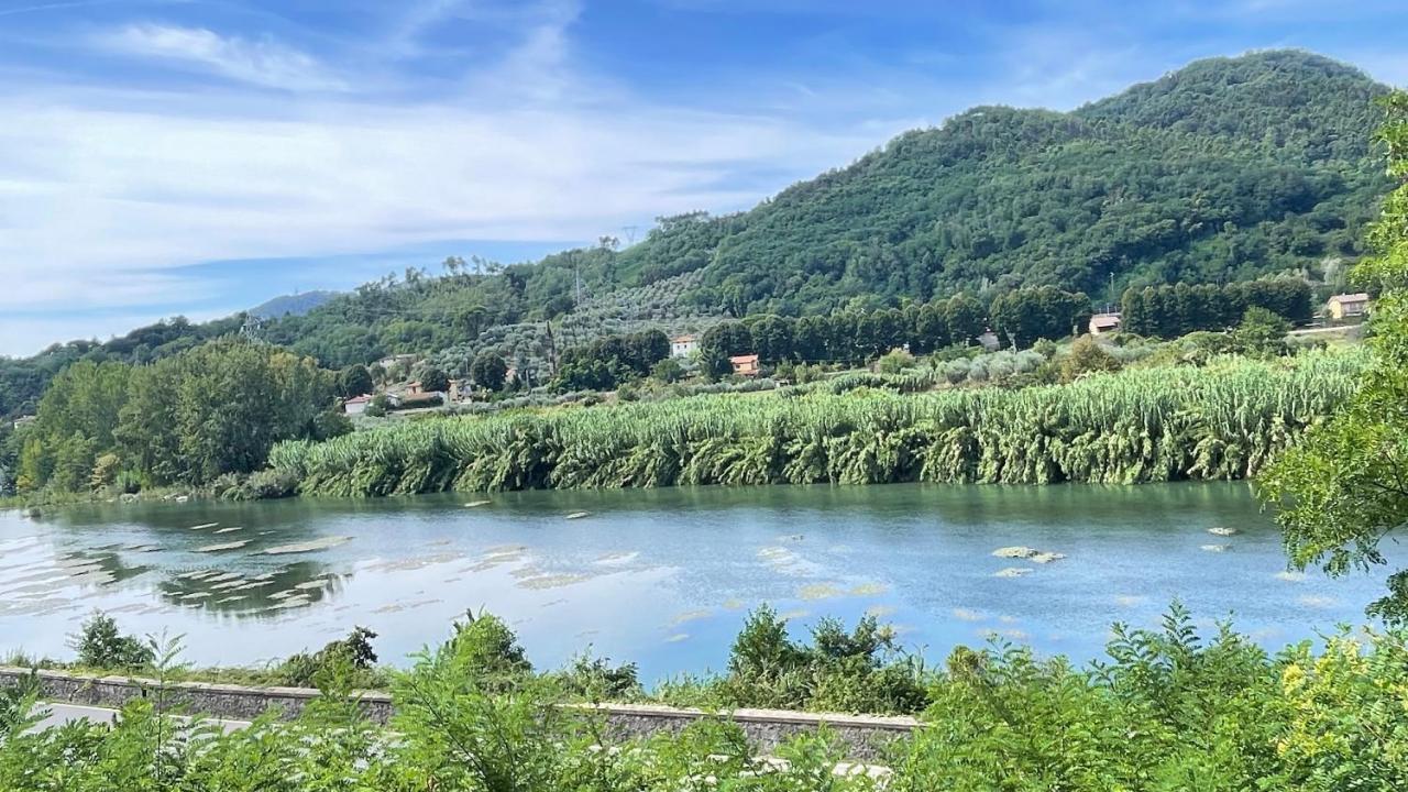 Tra Gli Olivi Apartment Lucca Luaran gambar