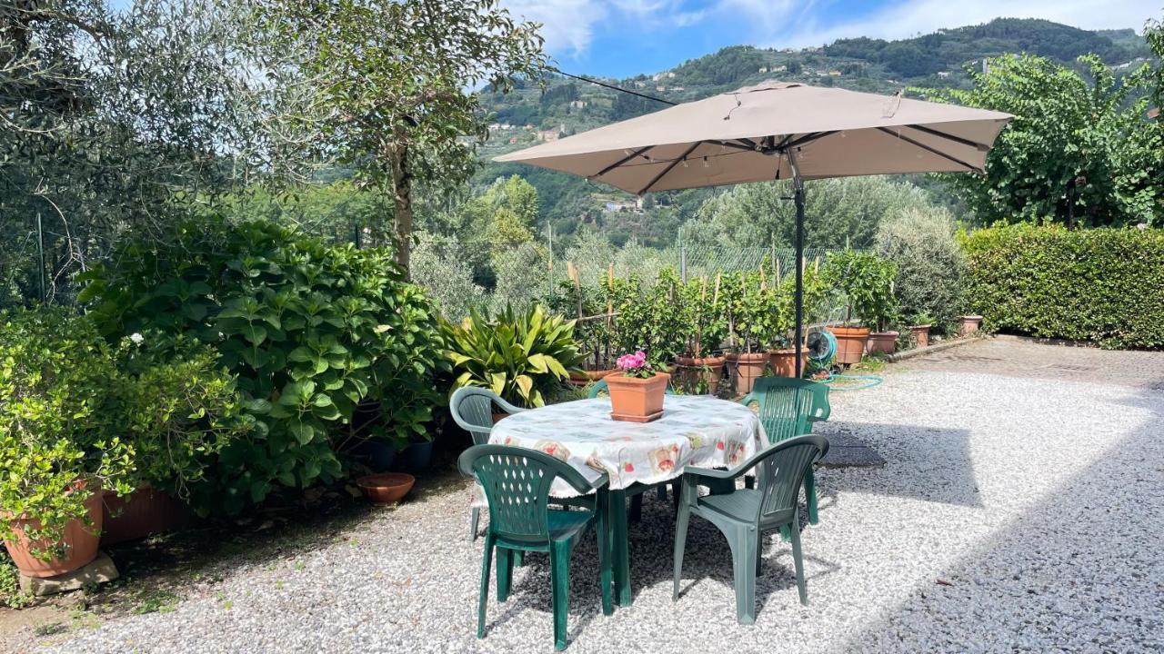 Tra Gli Olivi Apartment Lucca Luaran gambar