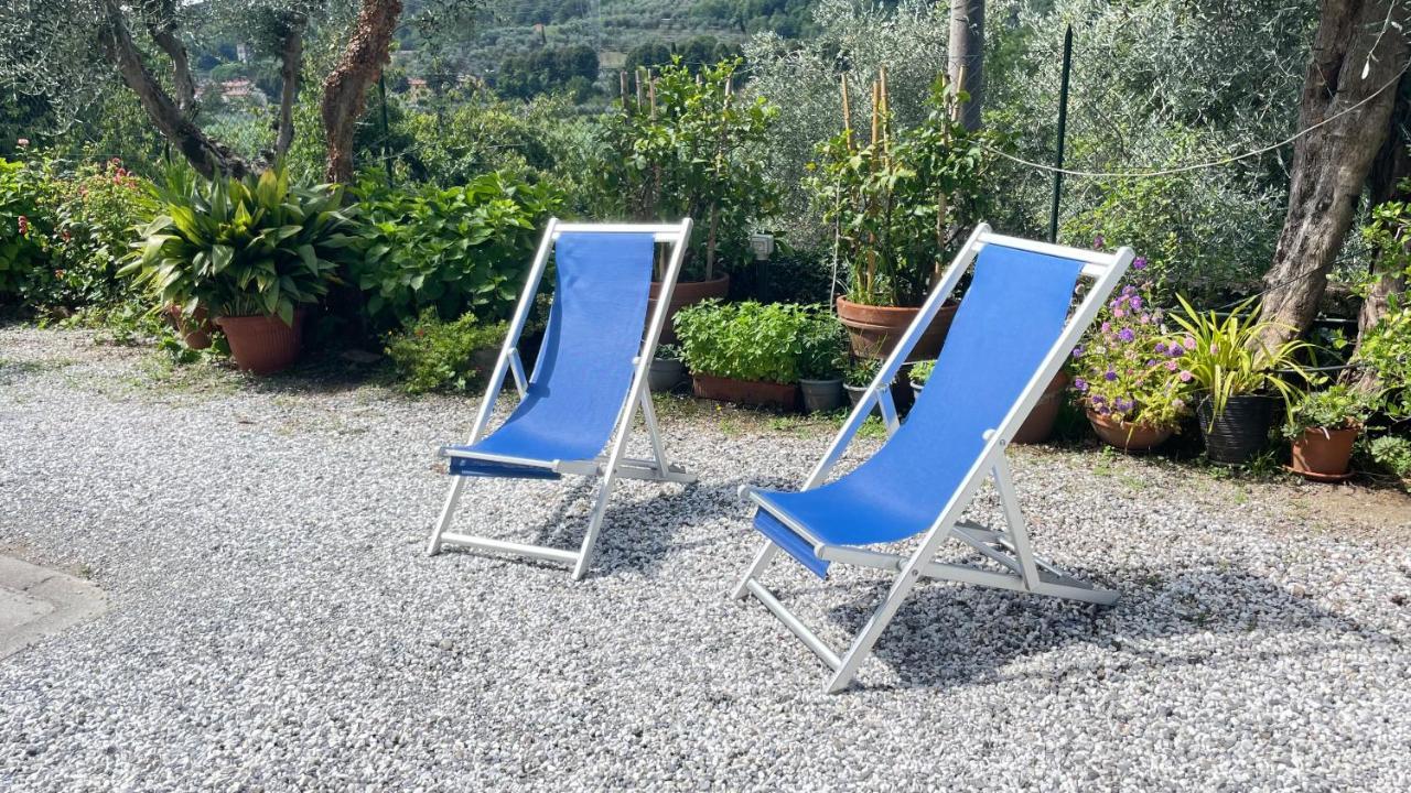 Tra Gli Olivi Apartment Lucca Luaran gambar