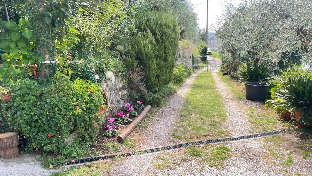 Tra Gli Olivi Apartment Lucca Luaran gambar