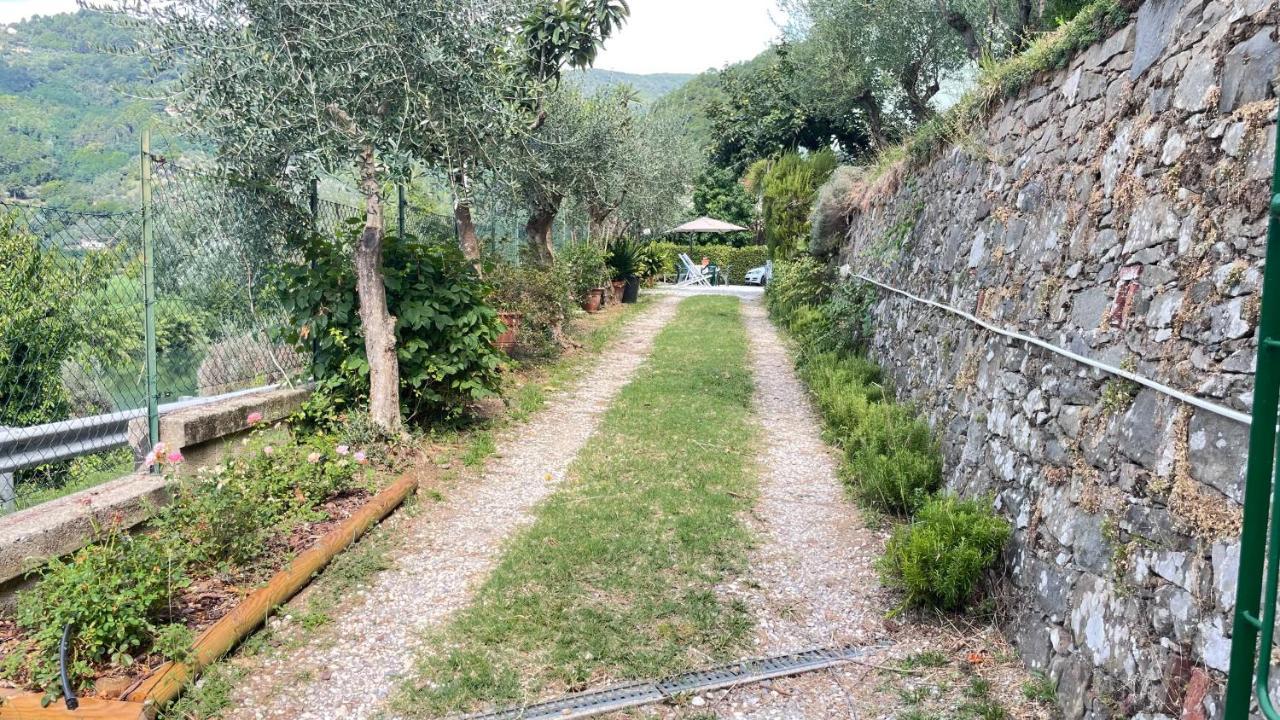 Tra Gli Olivi Apartment Lucca Luaran gambar