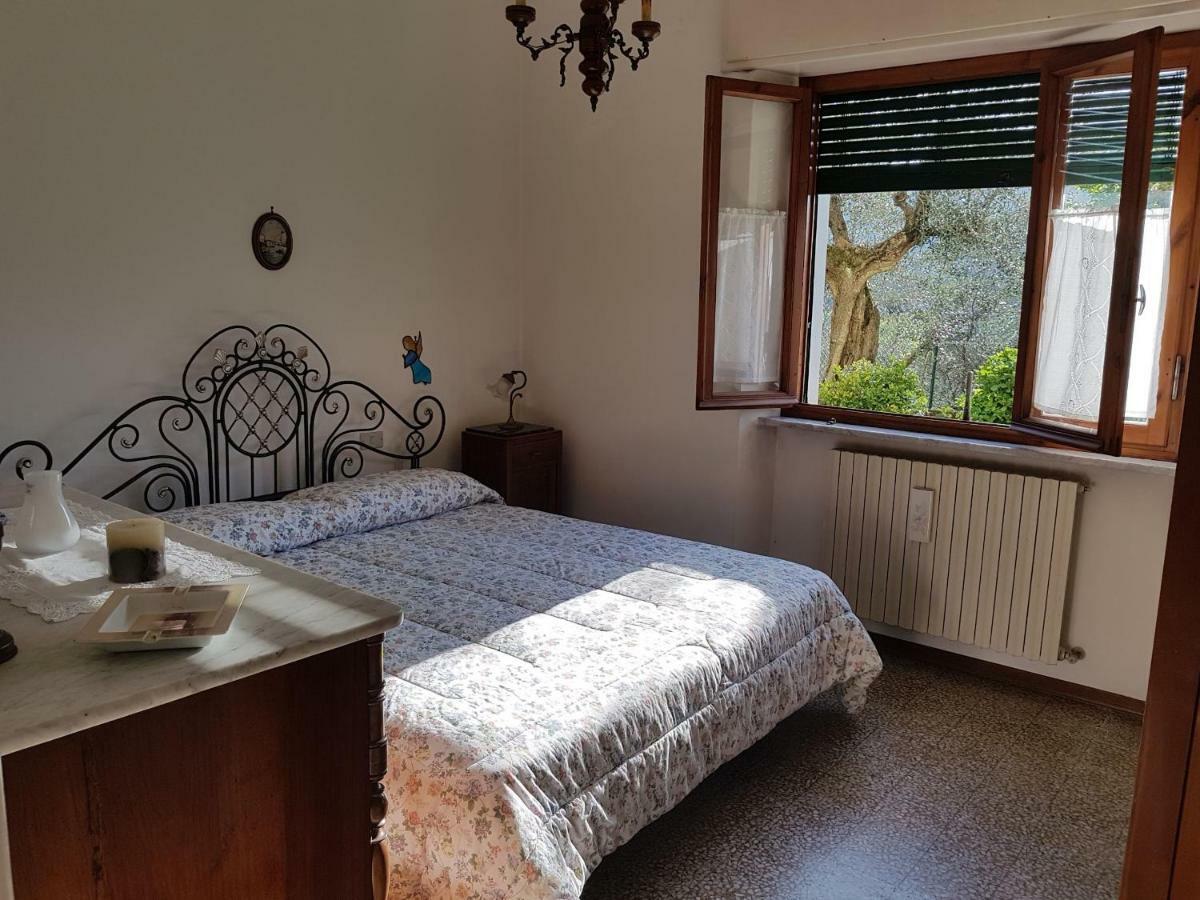 Tra Gli Olivi Apartment Lucca Luaran gambar